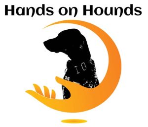 Hands on Hounds