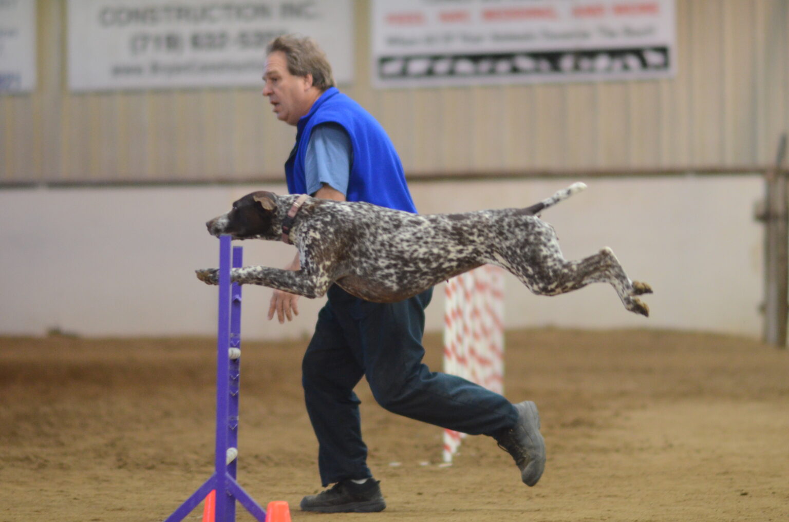 David in agility